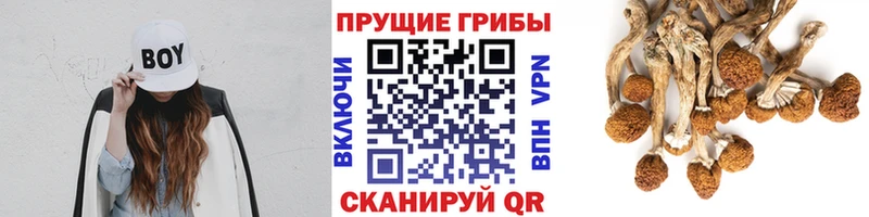 ссылка на мегу ссылки  Усть-Илимск  Галлюциногенные грибы MAGIC MUSHROOMS  закладка 