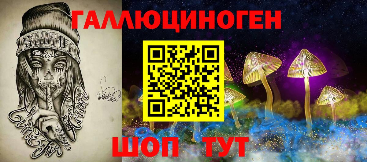 Усть-Илимск  Псилоцибиновые грибы прущие грибы  Вход с VPN 